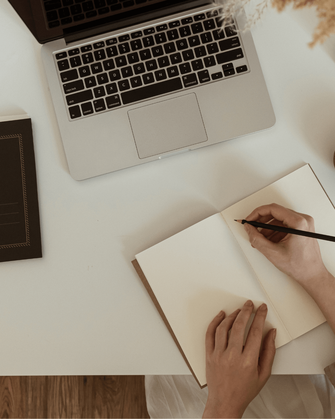 About us – Actually Curious